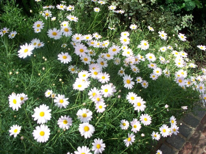 longwood-april-2009-097