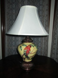My new parrot lamp
