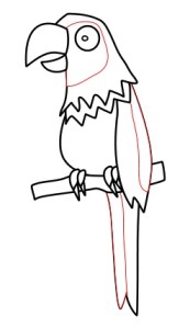 cartoon-parrot-007